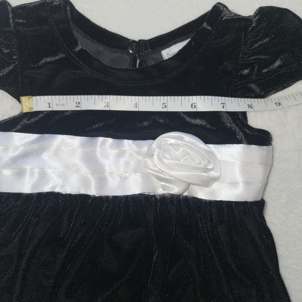 Sweet Heart Roses 18M Velvet Balloon Dress Satin Sash & Rose Posh Vintage Baby - Picture 15 of 16